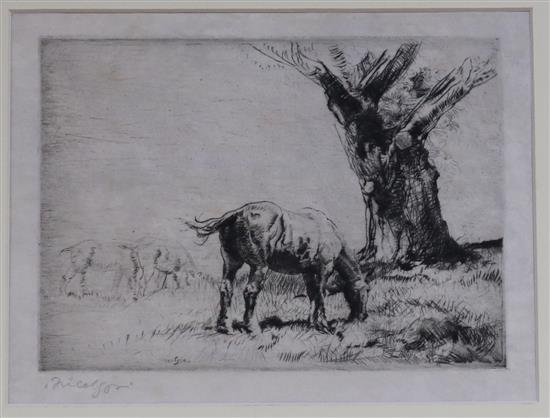 John Nicholson, dry point etching, horse grazing, signed in pencil with accompanying original presentation mount 15 x 20cm, unframed